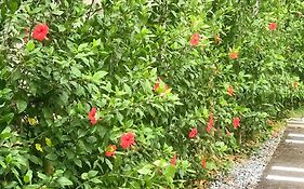 Niruyakanaya Bise - Vacation Stay 36704V