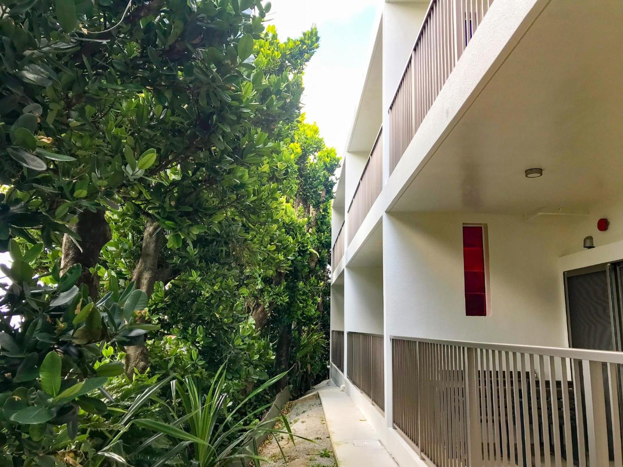 Niruyakanaya Bise - Vacation Stay 36704V エクステリア 写真