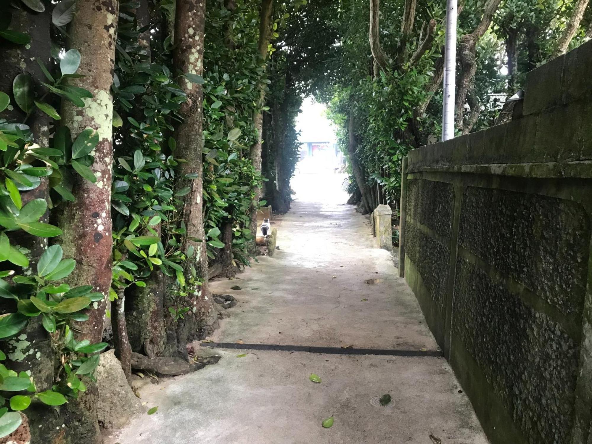 Niruyakanaya Bise - Vacation Stay 36704V エクステリア 写真